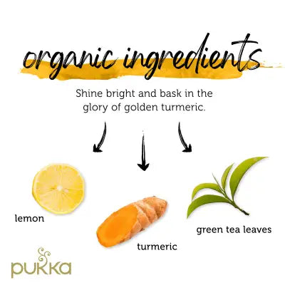 Pukka Teabags  -  Turmeric Gold
