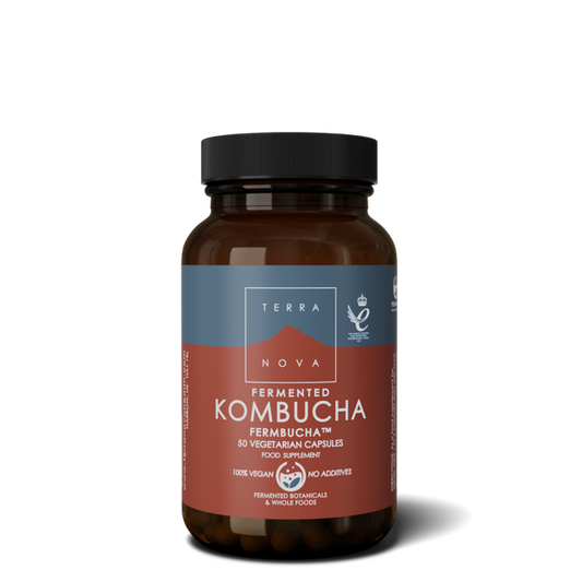 Terranova Fermented Kombucha 50