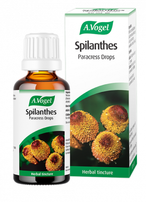 A.Vogel Spilanthes Drops 50ml