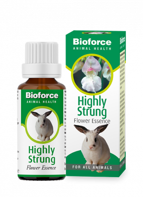 A.Vogel Animal Essences