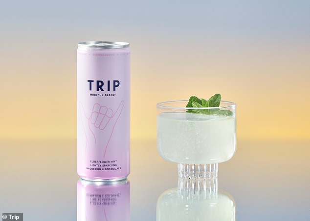 Trip Mindful Blend Magnesium Lion's Mane Lightly Sparkling