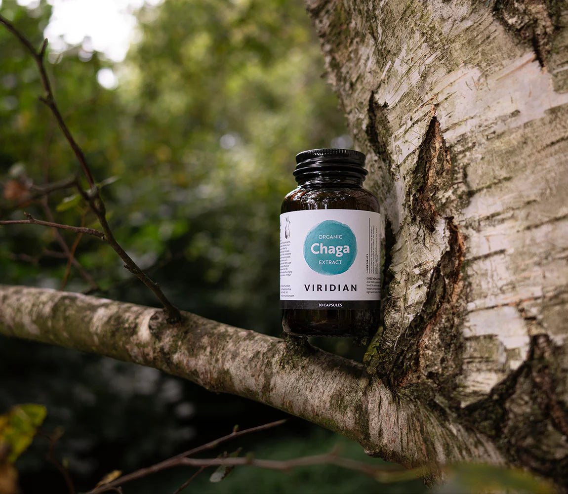Viridian Organic Chaga Extract 30