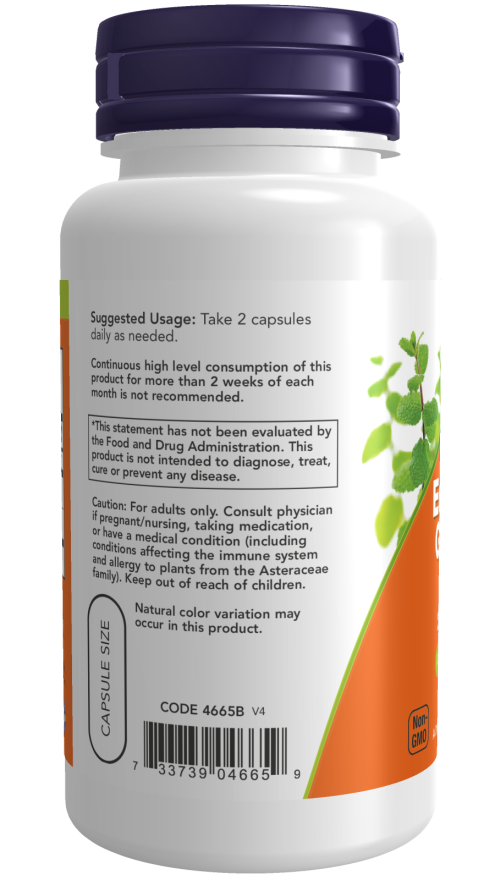 Now Echinacea & Goldenseal Root 100