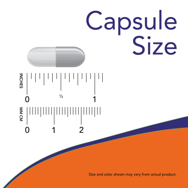 Now L-Carnitine 250mg 60