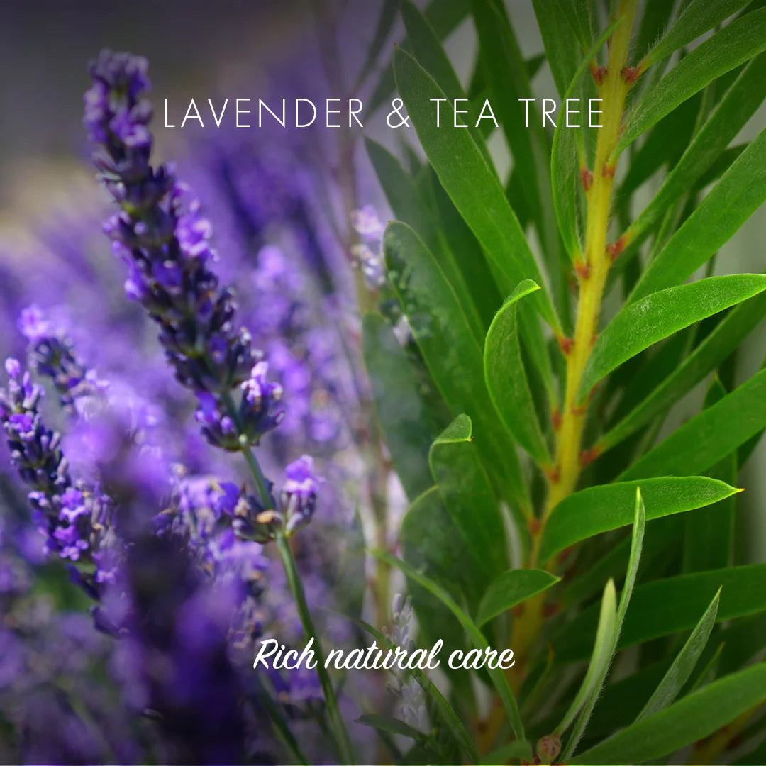 Friendly Shampoo Bar - Lavender & Tea Tree
