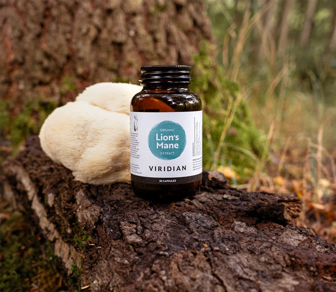 Viridian Lion's Mane 30