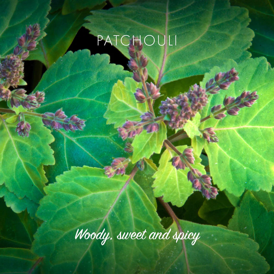 Friendly Natural Soap - Patchouli