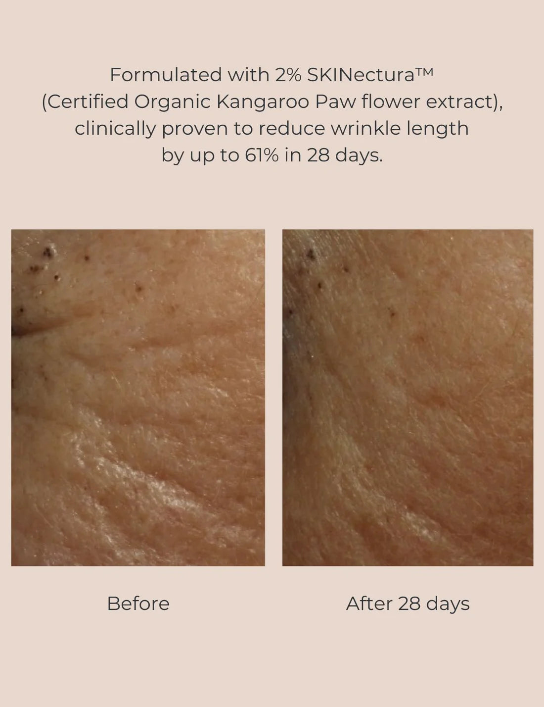 Inika Primer Pure Perfection