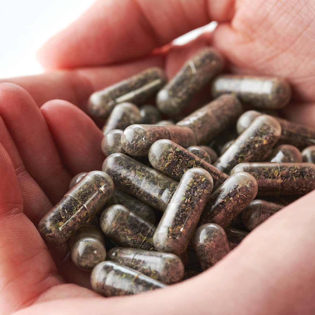 Kiki Health Sea Moss Capsules 500mg 90
