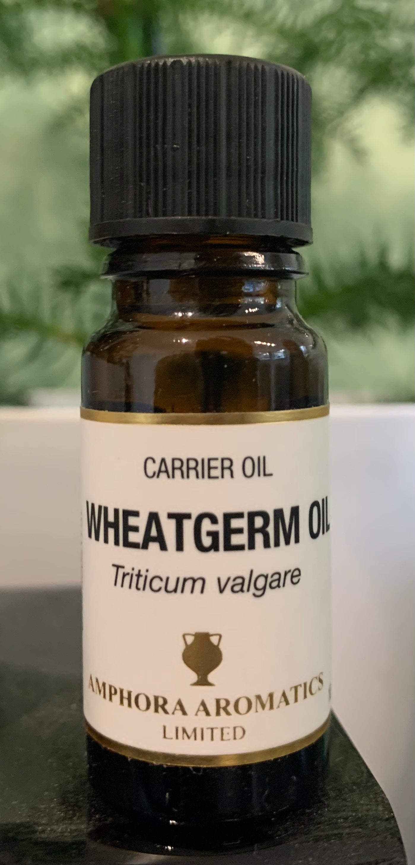 Amphora Aromatics Wheatgerm Carrier Oil 10ml