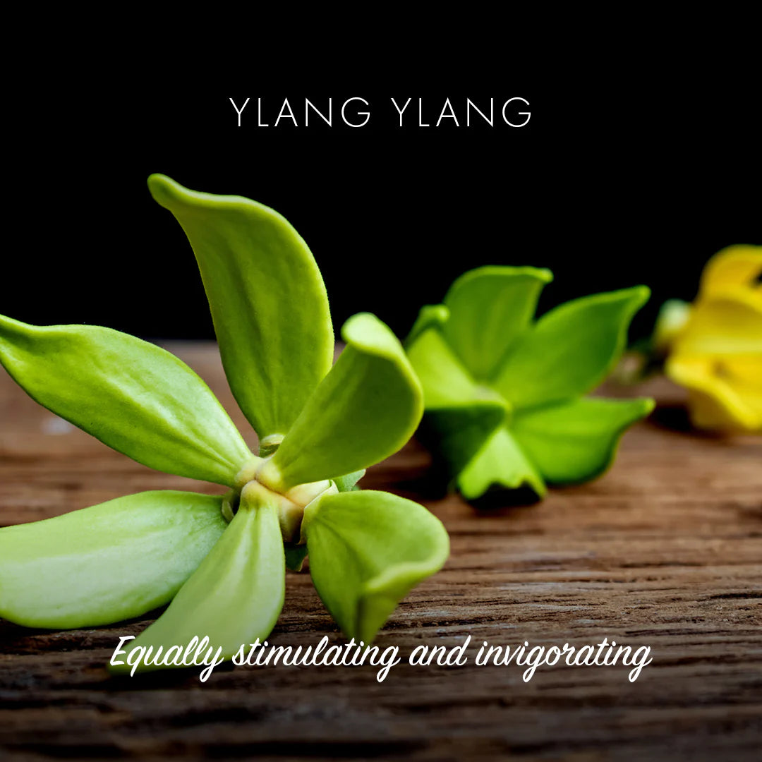 Friendly Natural Soap - Ylang Ylang