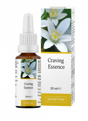 Jan de Vries Craving Essence