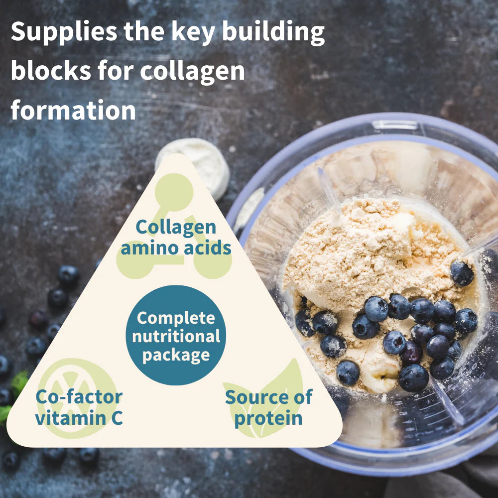 igennus Vegan Pro-Collagen 500g