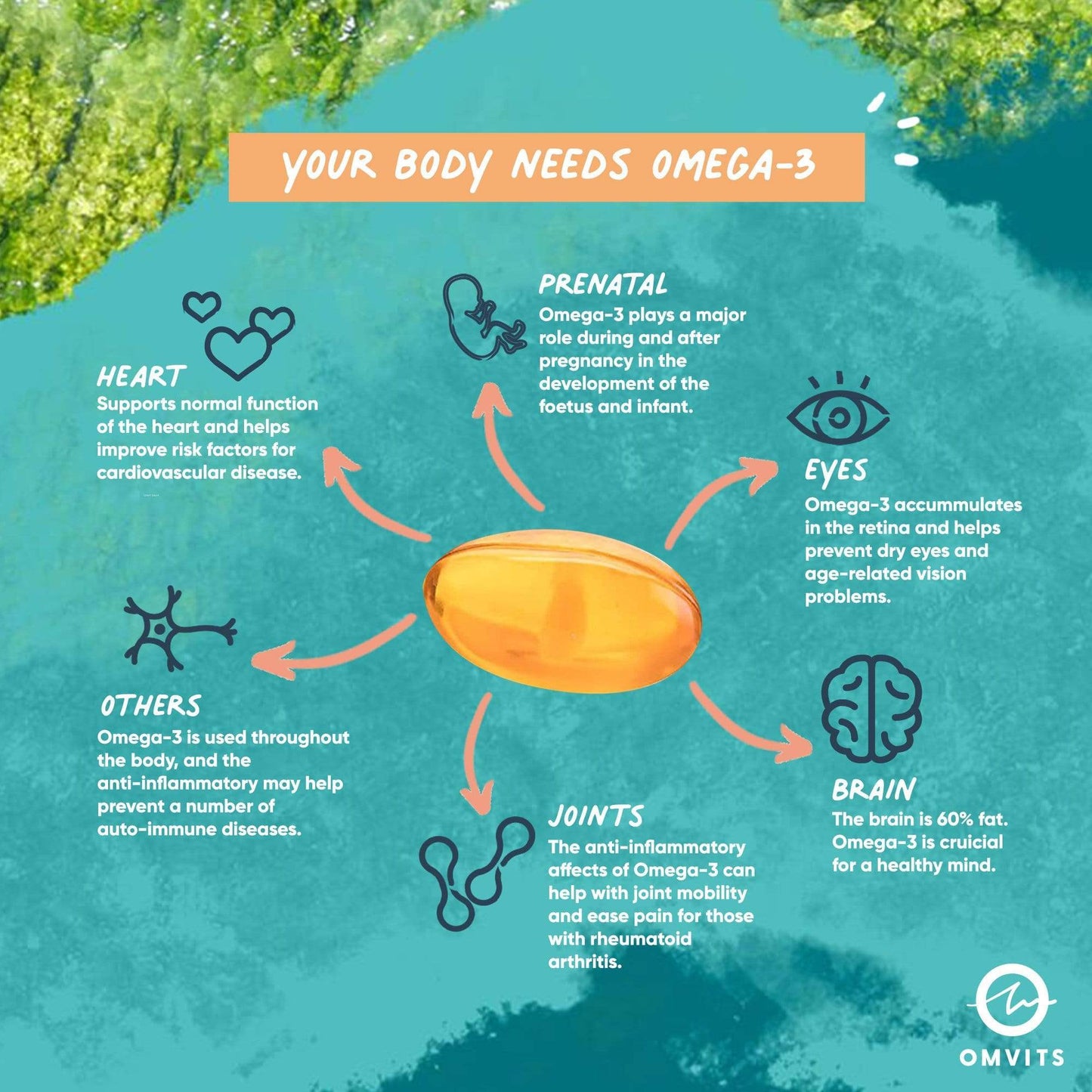 Omvits Omega 3 DHA 400mg Algae 60