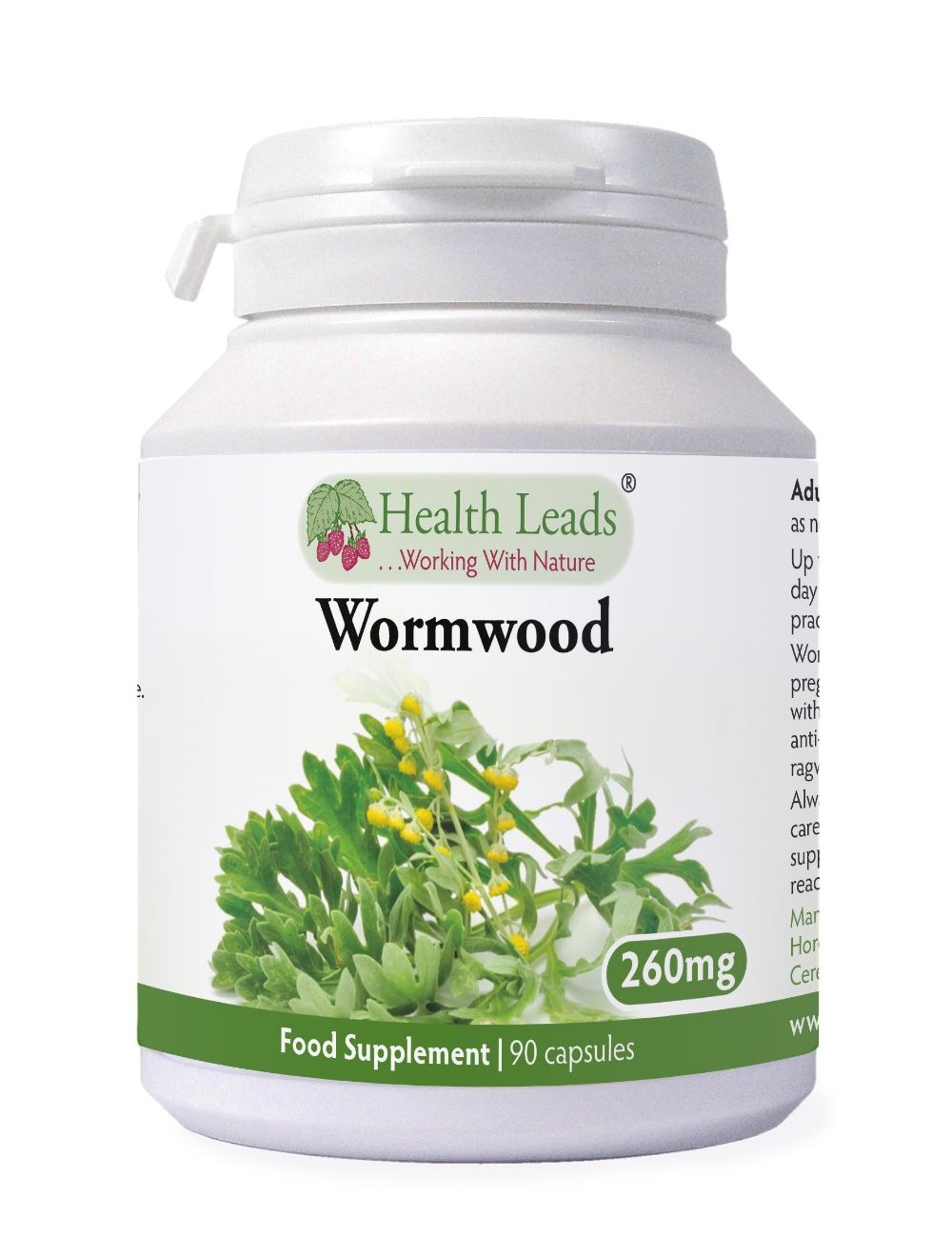 Health Leads Wormwood 260mg