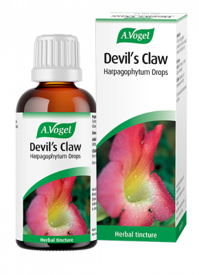 A.Vogel Devil's Claw Drops 50ml