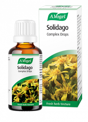 A.Vogel Solidago Drops
