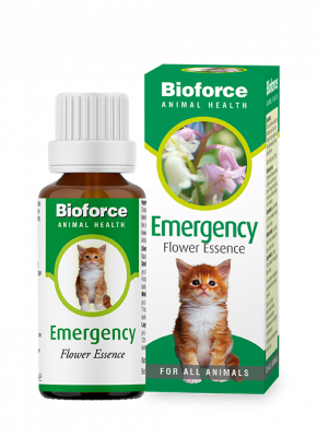 Bioforce Animal Health Emergency Flower Essence 30ml