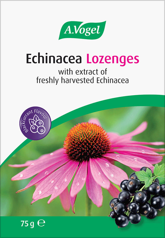 A.Vogel Echinacea Lozenges 75g vegan bag
