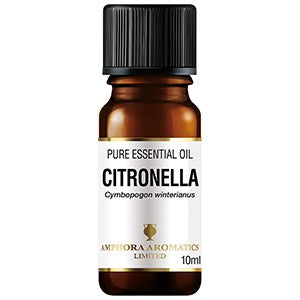 Amphora Aromatics Essential Oil Citronella 10ml