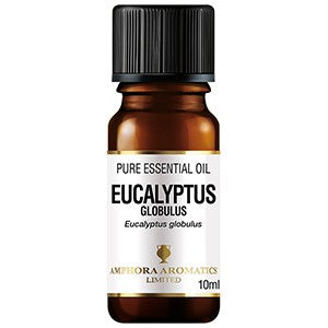 Amphora Aromatics Essential Oil Eucalyptus 10ml