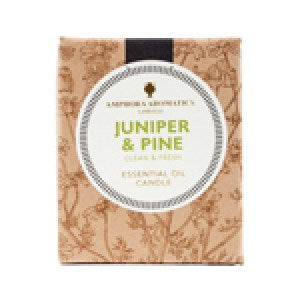 Amphora Aromtics 40hr candle Juniper & Pine