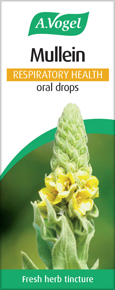 A.Vogel Mullein Drops 50ml