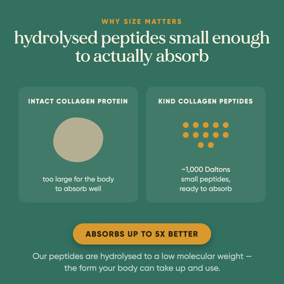 Omvits Kind Collagen 240g