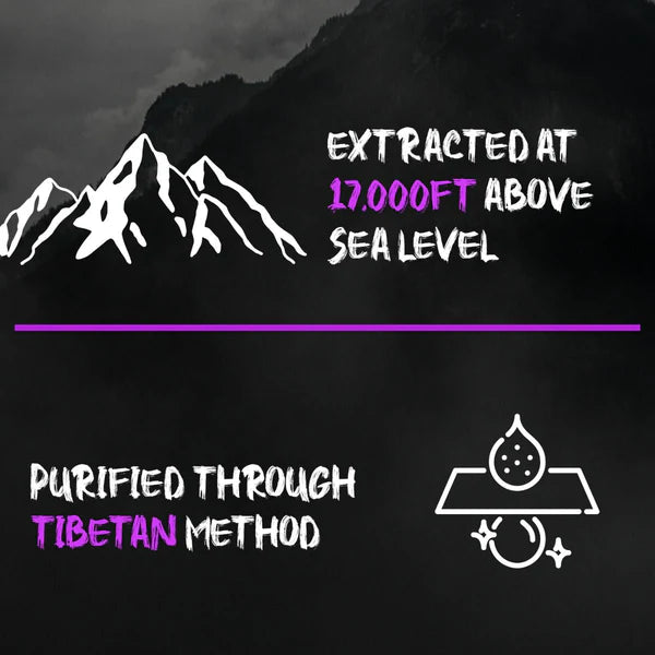 My Pahadi Dukan Ladakhi Shilajit Resin